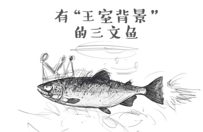 “三条鱼”的进博会故事